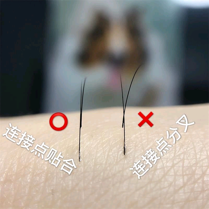时尚魅影化妆学校,洛阳美甲学校,